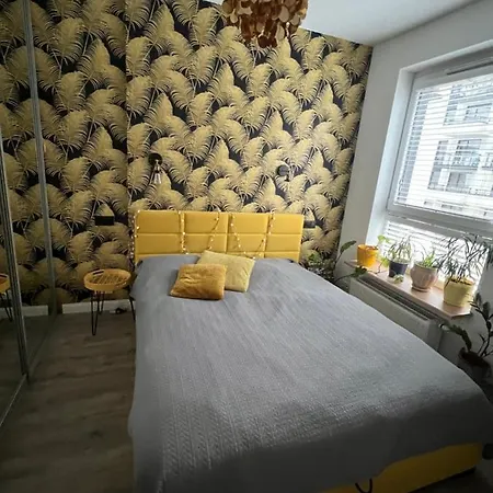 Konstruktorska Chill *